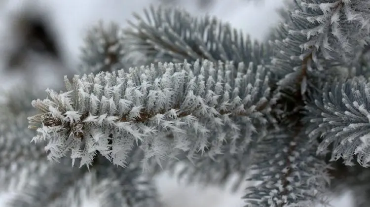 Schimbare bruscă a vremii. Meteorologii au emis Cod galben. Riscurile la care am putea să ne supunem