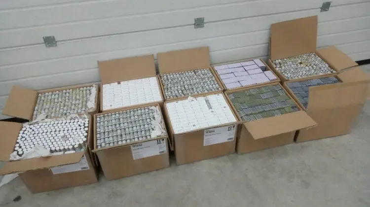 ULTIMĂ ORĂ! Încă patru persoane reținute în dosarul contrabandei cu anabolizante
