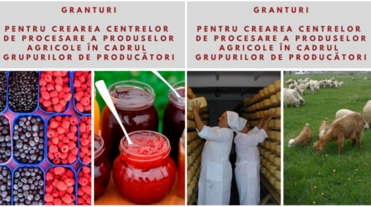 Agricultorii din sudul țării pot aplica pentru un grant de până la 25.000 de dolari