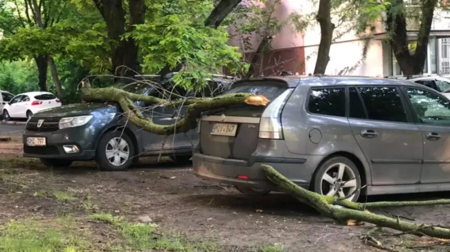 De trei zile, de trei nopți – ploi! În capitală, câțiva șoferi s-au trezit cu crengi pe mașini. Cum va fi vremea azi