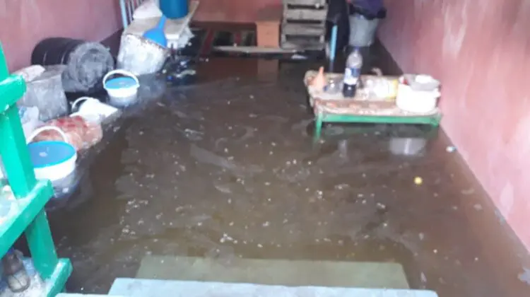 FOTO, VIDEO S-au trezit în apă și nămol la propriu! Ploile de aseară au afectat câteva gospodării din sudul țării