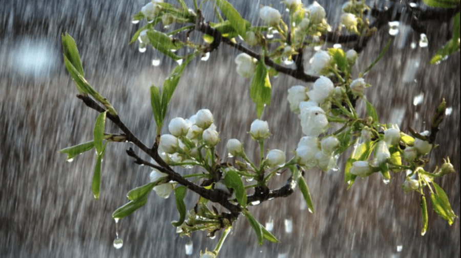 Prognoza meteo pentru 21 mai: Se așteaptă ploi și temperaturi de până la 23°C
