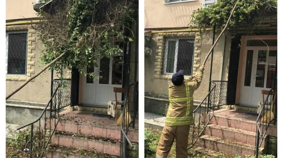 FOTO Incredibil! Salvatorii de la Căușeni au fost chemați pentru a evacua o viperă „venită” la frizerie