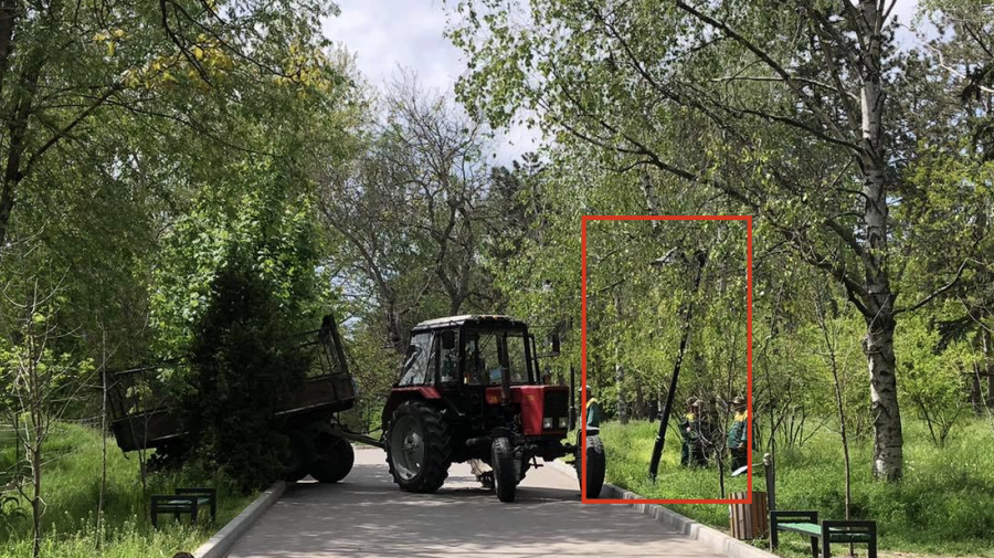 (VIDEO) Pукожопствo (cuvântul primarului Ion Ceban) lucrătorilor de la Spații Verzi în Parcul Valea Trandafirilor