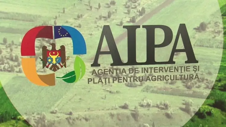 AUDIO Dosarul „AIPA”: Un dialog despre dare și luare de mită. Sumele despre care vorbesc!