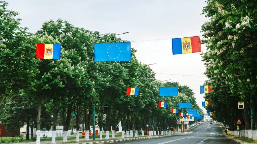(FOTO) Au înflorit castanii! Imagini uimitoare de la Ungheni