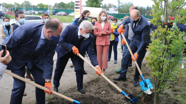 (FOTO) O nouă alee în Capitală! Aceasta se află în sectorul Botanica și a fost inaugurată în cinstea ONU