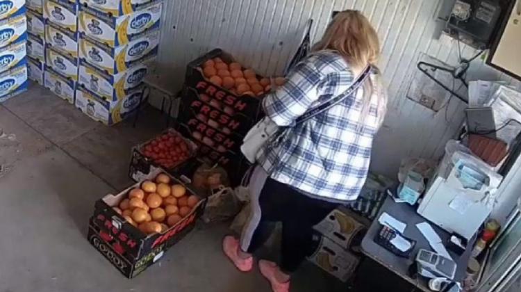 (VIDEO) Plasată în arest preventiv după ce a sustras din geanta unei vânzătoare peste 231 mii de lei