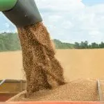 Fermierii cer explicații privind tranzitul cerealelor din Ucraina: „Există riscul blocării exporturilor din Moldova”