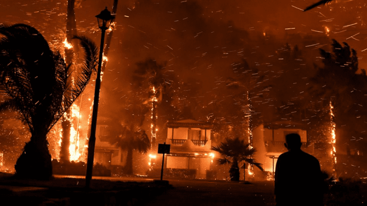 (FOTO) Incendii de amploare în Grecia. Mii de hectare de pădure au fost distruse