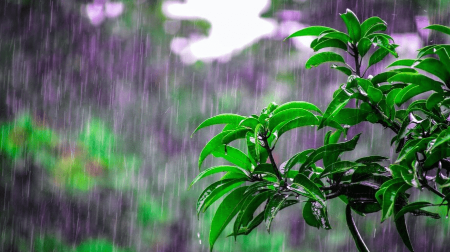 ALERTĂ! Vara se încheie cu ploi. Prognoza meteo pentru duminică
