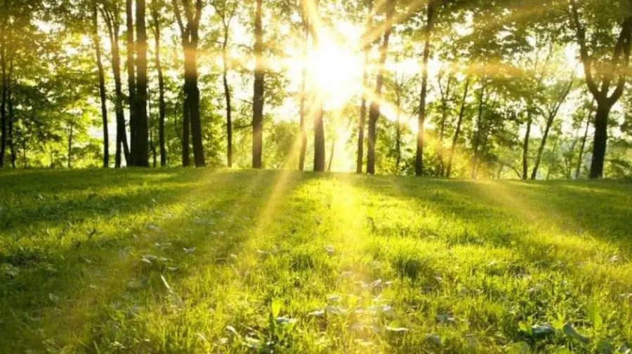 Zi de weekend cu vreme frumoasă. Termicele vor ajunge până la 25 de grade Celsius