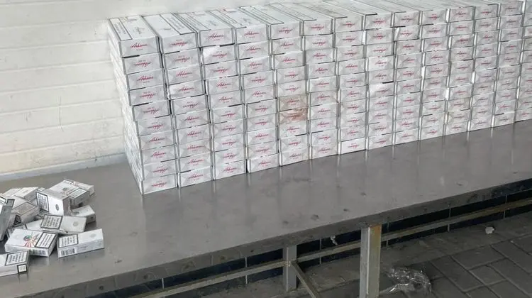 (FOTO, VIDEO) Urmau să ajungă ilegal pe piața UE. Ce au descoperit patrupezii Serviciului Vamal
