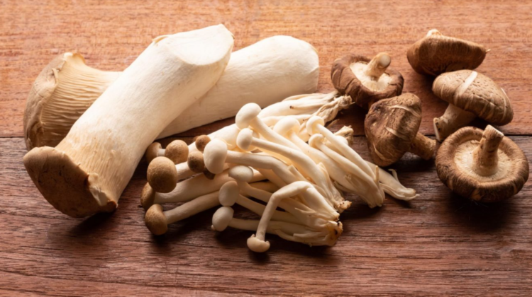 Singura „legumă” care produce vitamina D „la fel ca oamenii”. Beneficii explicate de un cercetător