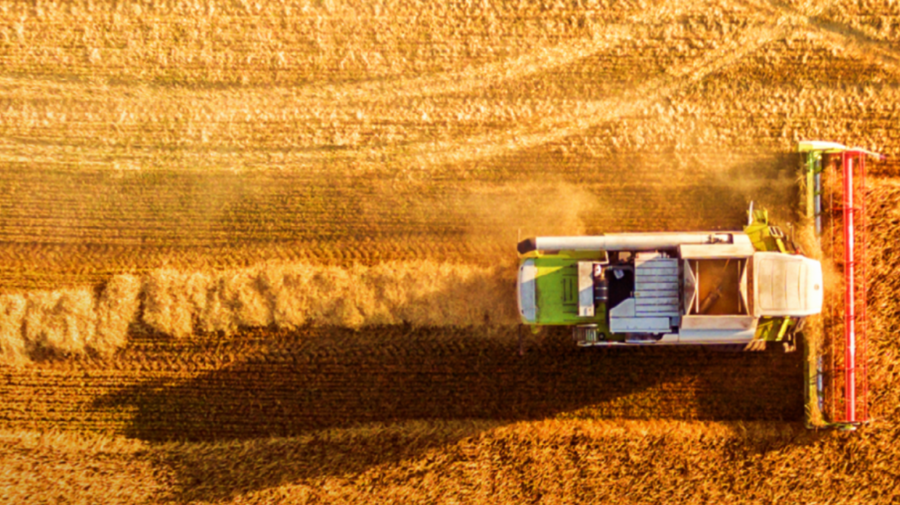 Fermierii moldoveni vor beneficia de consultanță agricolă gratuită din partea a doi experți americani