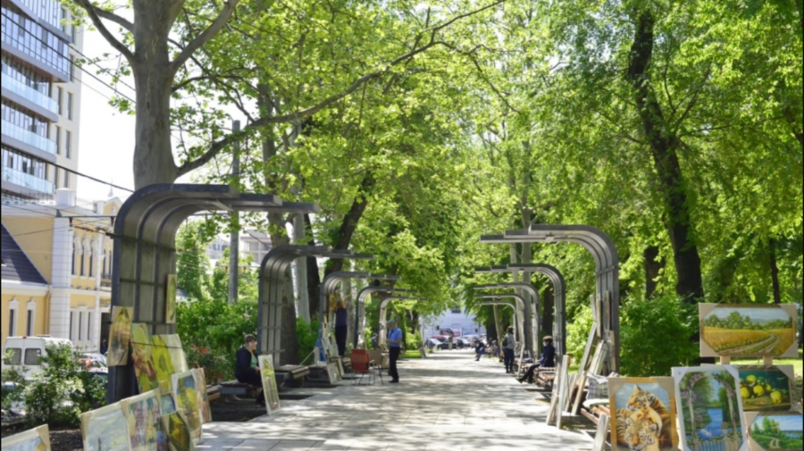 Artiștii plastici doritori de a participa la expoziția cu vânzare din Parcul Central, îndemnați să depună portofoliile