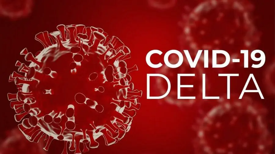 Atingerea imunităţii de turmă „nu este posibilă” cu varianta Delta, susține şeful Grupului de Vaccinuri Oxford