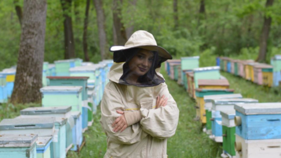 „Adoptă” o familie de albine! Este inițiativa inedită a unei antreprenoare din Moldova