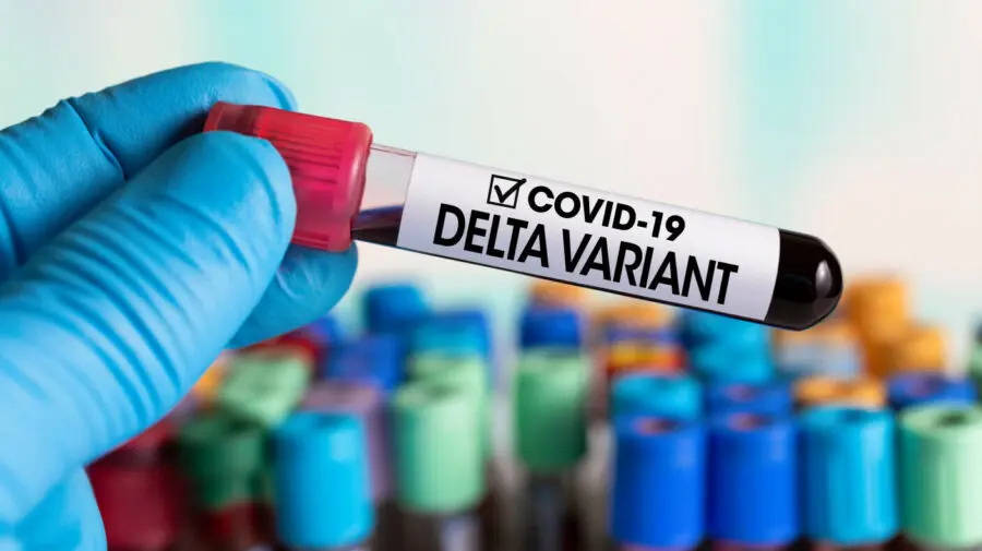 Tulpina Delta s-a infiltrat și în Moldova? Această variantă va declanşa un nou val de infecţie în țară. Când?