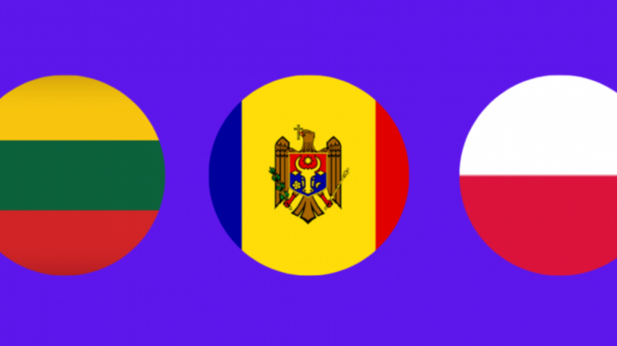 Proiectul de îmbunătățire a capacităților instituționale ale IGPF, lansat. Ce PRESUPUNE