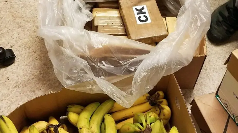 Banane cu „surprize” în supermarketuri din Germania. Magazinele au primit 95 kg de cocaină în loc de fructe