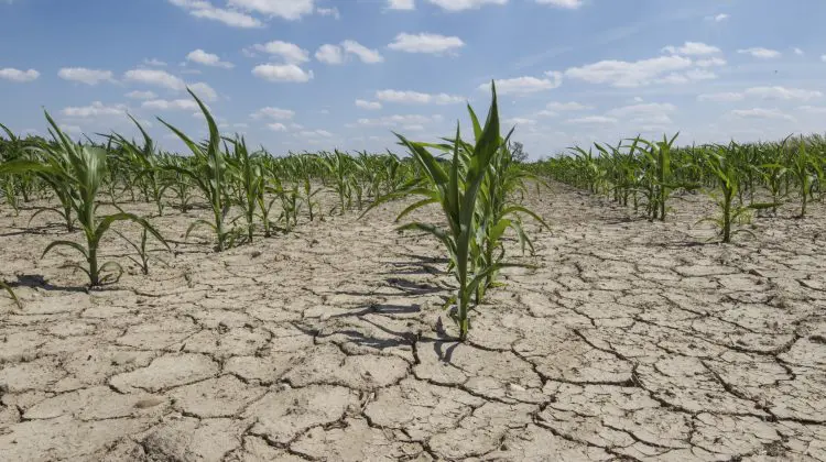 Aprobat! Peste 3 milioane de lei pentru atenuarea degradării terenurilor și creșterea productivității agricole