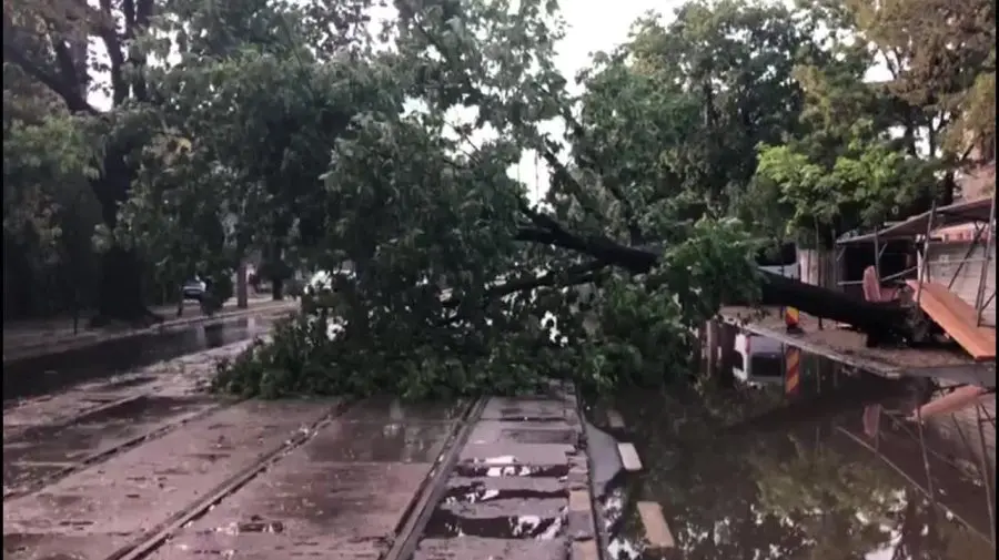 VIDEO Furtuna și grindina au făcut ravagii în București. Peste 50 de mașini avariate și zeci de copaci prăbușiți