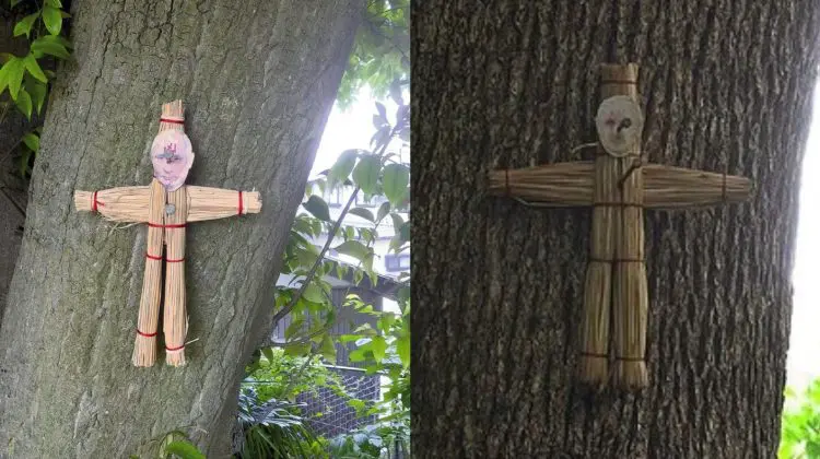 Niponii aruncă blesteme peste liderul rus! Păpuși Voodoo cu fața lui Putin, descoperite pe arbori sacri din Japonia