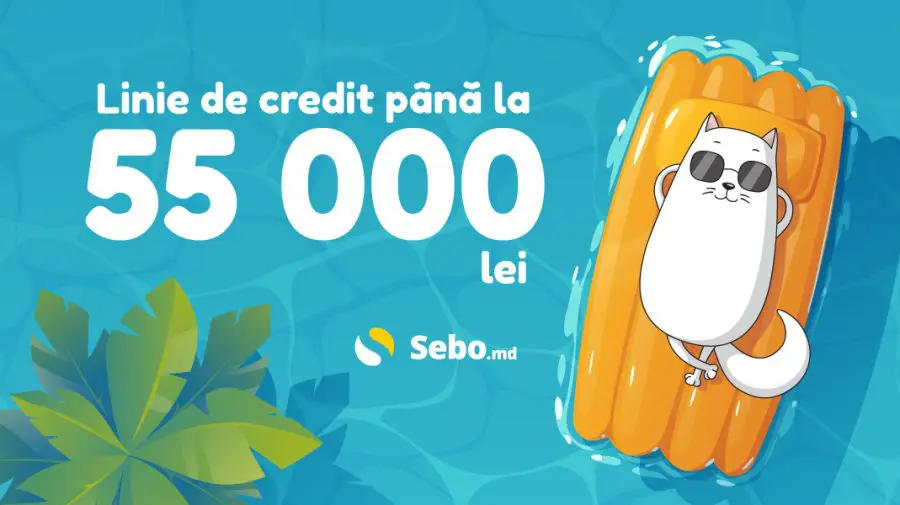 Cu Credit Line de la SEBO ai până la 55 000 de lei
