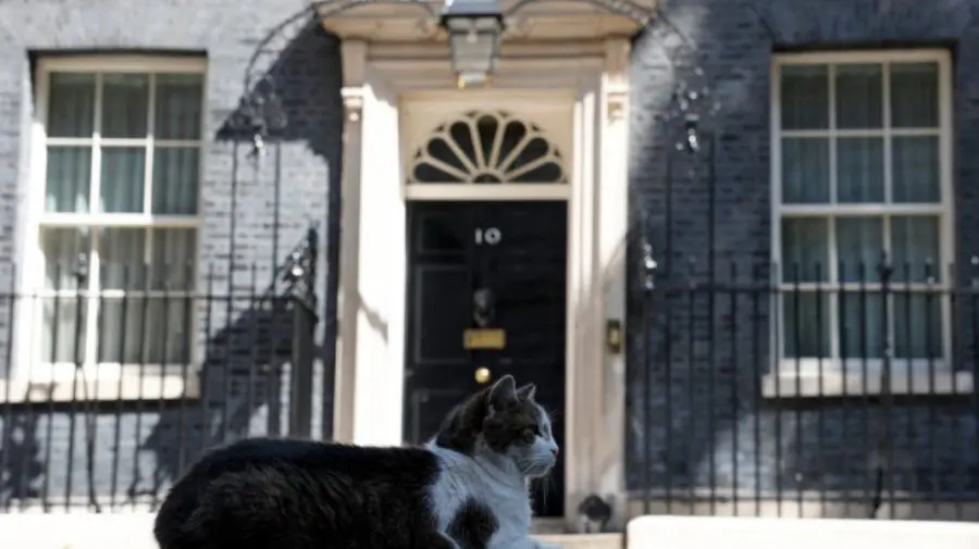 OFICIAL! Află când va fi anunțat numele noului premier britanic