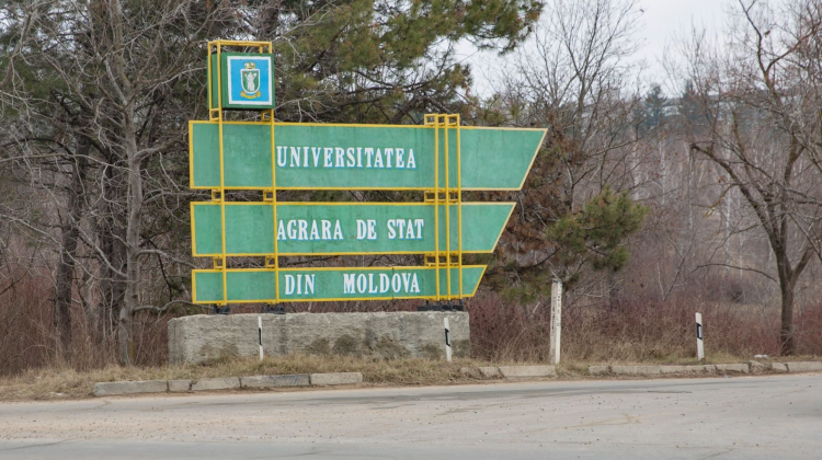 Sindicaliștii de la UASM ies joi în fața Guvernului pentru a-și manifesta dezacordul privind lichidarea instituției