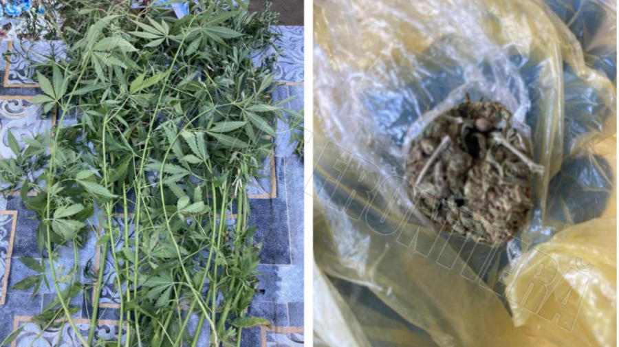 VIDEO Descinderi la Cahul! Ce au depistat polițiștii în câteva laboratoare improvizate
