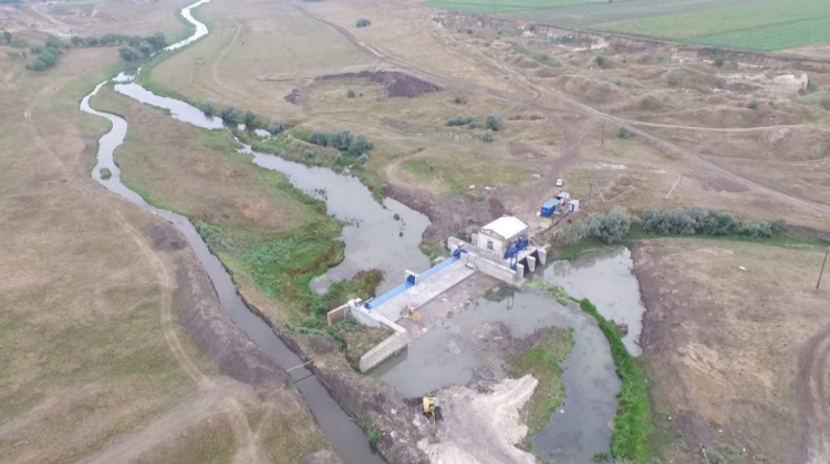 VIDEO O adevărată bombă ecologică la Telenești. Peste o tonă de pește din râul Răut a pierit în doar trei zile