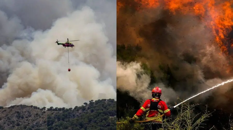 VIDEO Sute de oameni mor din cauza căldurii extreme în Europa. Imagini apocaliptice cu incendii care bântuie globul