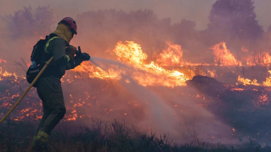 VIDEO Europa se sufocă! Canicula face prăpăd în mai multe țări. Spania duce o luptă crâncenă cu incendiile de pădure