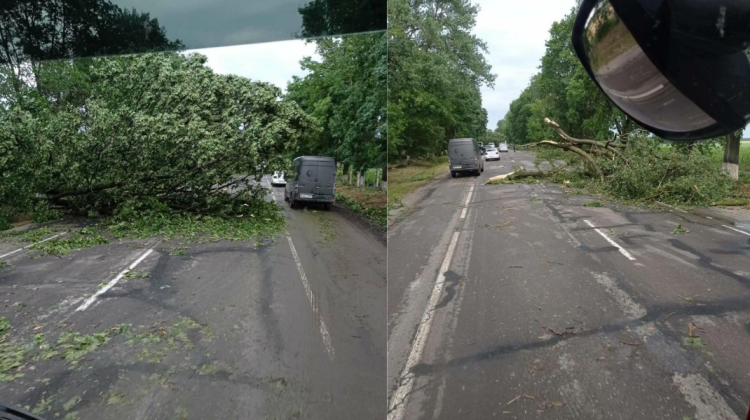 FOTO Ploile au făcut prăpăd în țară! Salvatorii au intervenit în mai multe localități din nord