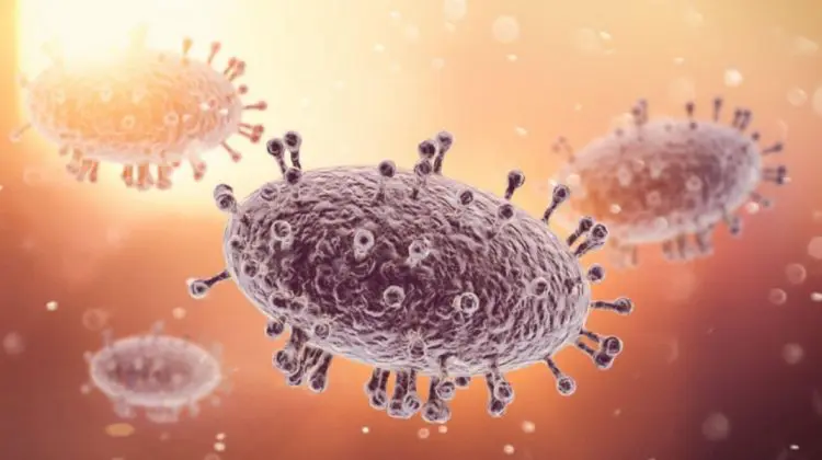 New York – în stare de urgență în caz de dezastru din cauza variolei maimuței. Tot mai mulți sunt pozitivi la virus