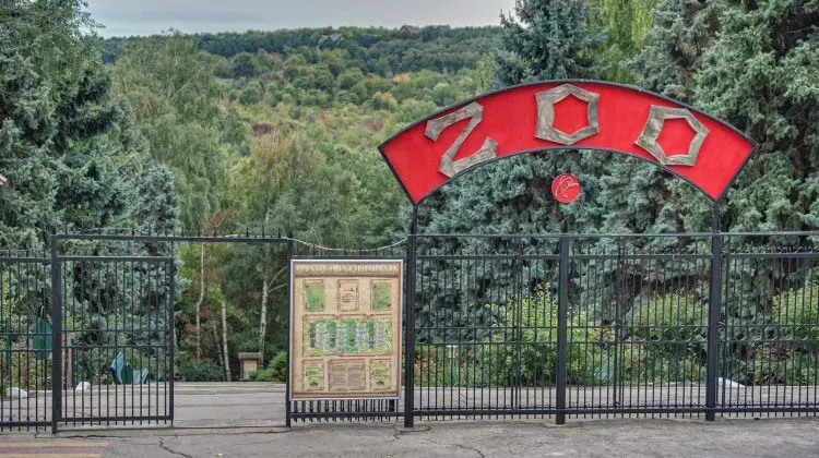 Este un Fake! Poliția vine cu detalii despre broasca țestoasă care ar fi fost furată de la grădina Zoologică