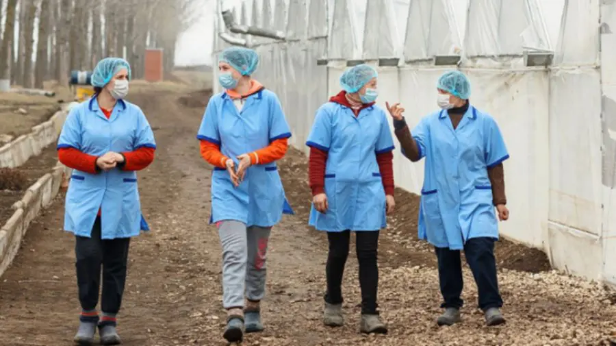 Proiect de integrare în câmpul muncii a refugiaților ucraineni, lansat în Republica Moldova