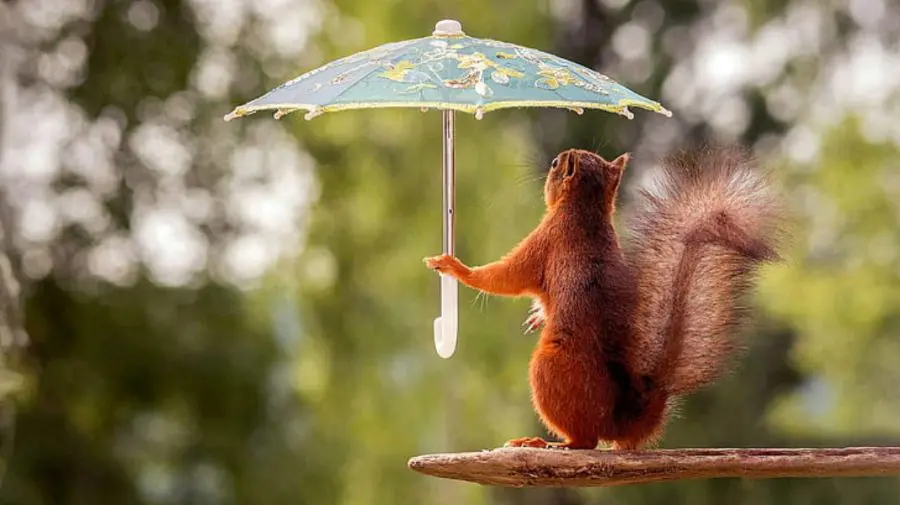 METEO 17 august: Nu vă uitați umbrelele! Va ploua și astăzi