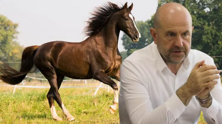 Ministrul Agriculturii a ajuns și la crescătorii de cai. Problema strigentă din acest domeniu? Bolea promite soluții