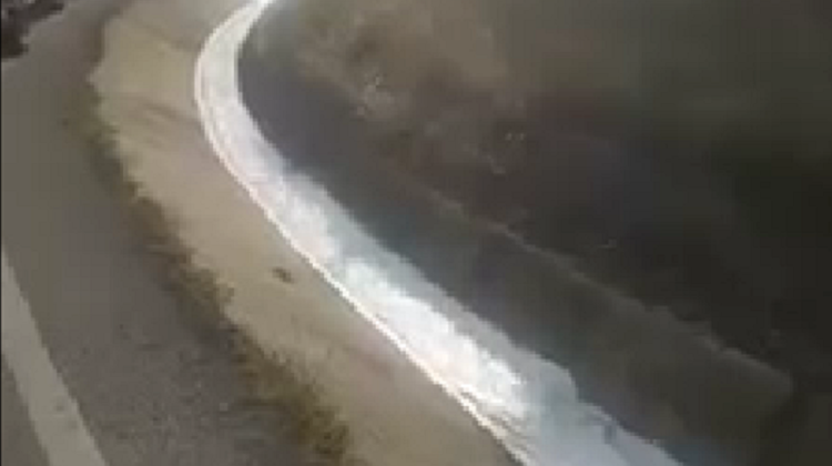 VIDEO Nu e glumă! Râu de bere pe o șosea din România