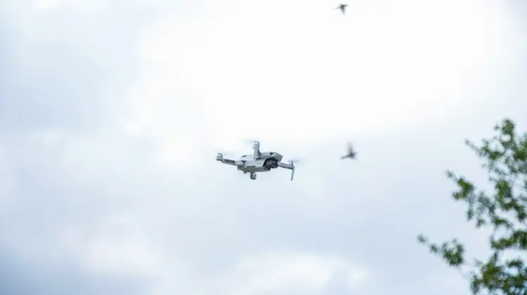 Informații utile! Ce trebuie să știe utilizatorii de drone, care filmează în zona de frontieră