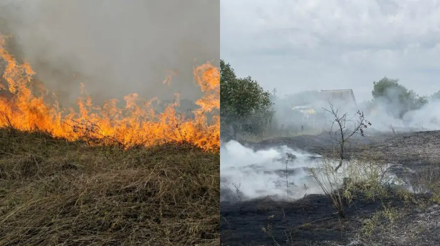 VIDEO Coloană densă de fum în apropiere de Tiraspol. Focul a cuprins circa șase hectare