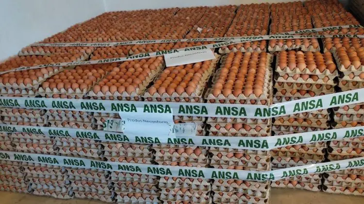 FOTO ATENȚIE! Dacă ai cumpărat ouă de găină din aceste loturi – nu le consuma! ANSA spune de ce