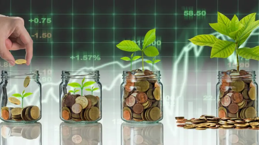 Leul moldovenesc se depreciază față de euro. CURS VALUTAR 10 august