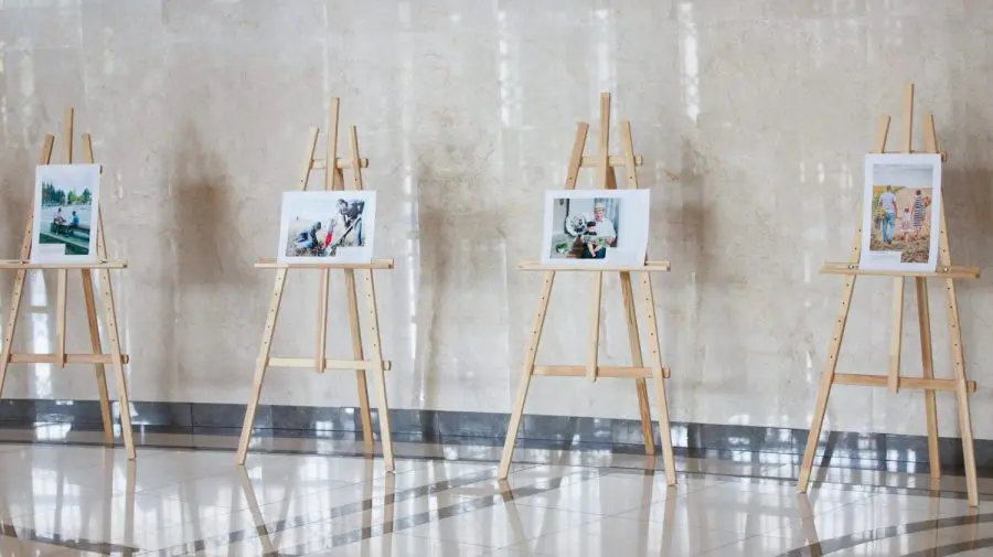 FOTO „Parteneriat și solidaritate între generații”. O expoziție de fotografii ale tinerilor, expusă la Parlament
