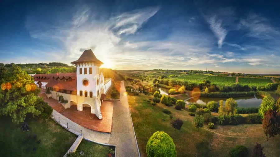 FOTO Ce faci de Ziua Vinului? Vino la Château Purcari!