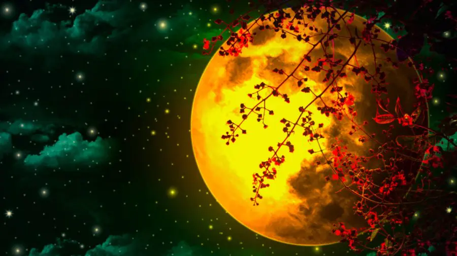 HOROSCOP: O zodie va avea azi mult noroc în plan sentimental! Cui i-au surâs astrele