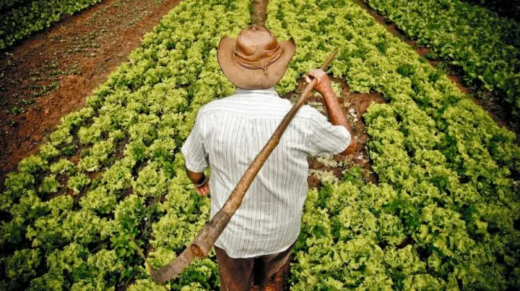 BANI.MD | Prinși cu mâța-n sac! Mai mulți agricultori au vrut să țepuiască statul de 3,7 milioane de lei